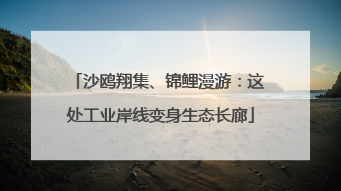 沙鸥翔集、锦鲤漫游：这处工业岸线变身生态长廊