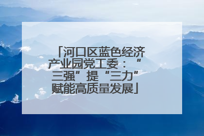 河口区蓝色经济产业园党工委：“三强”提“三力”赋能高质量发展