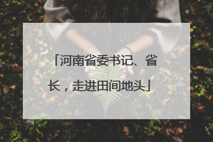 河南省委书记、省长，走进田间地头