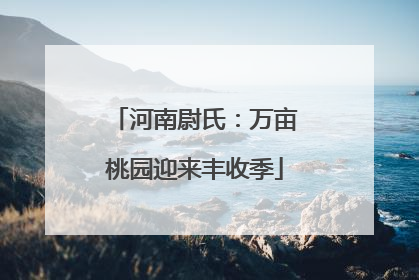 河南尉氏：万亩桃园迎来丰收季