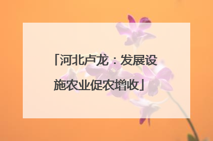 河北卢龙：发展设施农业促农增收