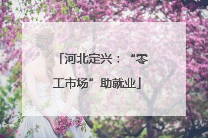 河北定兴：“零工市场”助就业