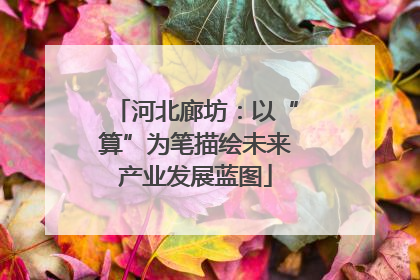 河北廊坊：以“算”为笔描绘未来产业发展蓝图
