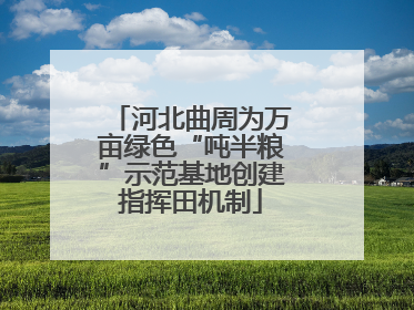 河北曲周为万亩绿色“吨半粮”示范基地创建指挥田机制