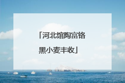 河北馆陶富铬黑小麦丰收