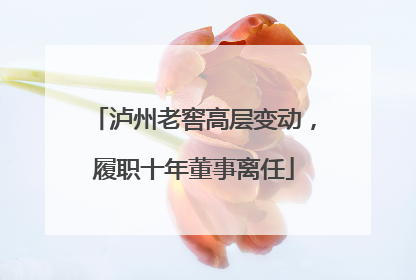泸州老窖高层变动，履职十年董事离任