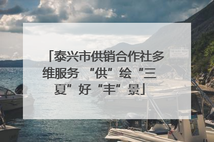 泰兴市供销合作社多维服务 “供”绘“三夏”好“丰”景