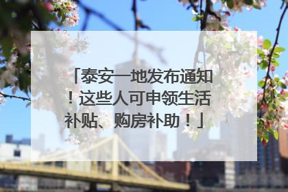 泰安一地发布通知！这些人可申领生活补贴、购房补助！