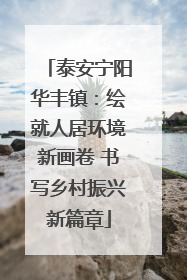 泰安宁阳华丰镇：绘就人居环境新画卷 书写乡村振兴新篇章