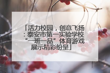 活力校园，创意飞扬：泰安市第一实验学校“一班一品”体育游戏展示精彩纷呈