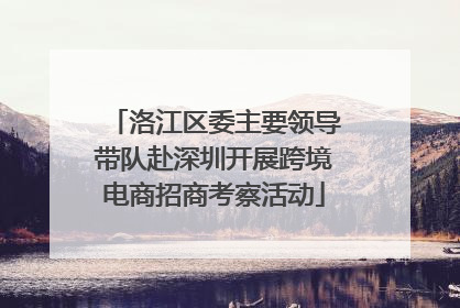 洛江区委主要领导带队赴深圳开展跨境电商招商考察活动