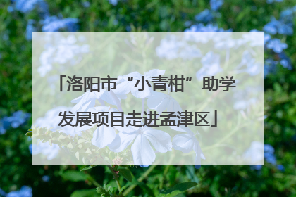 洛阳市“小青柑”助学发展项目走进孟津区