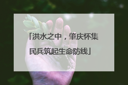 洪水之中，肇庆怀集民兵筑起生命防线