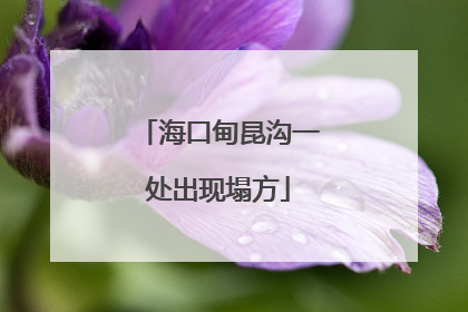 海口甸昆沟一处出现塌方