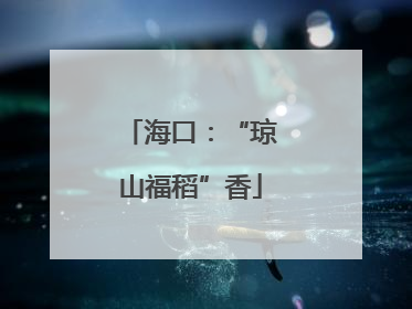 海口：“琼山福稻”香
