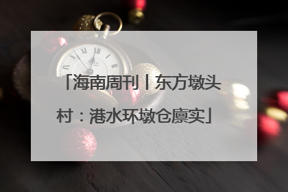 海南周刊丨东方墩头村：港水环墩仓廪实