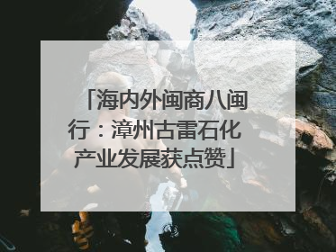 海内外闽商八闽行：漳州古雷石化产业发展获点赞
