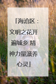 海沧区：文明之花开遍城乡 精神力量滋养心灵