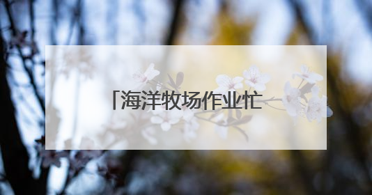 海洋牧场作业忙（侨乡新貌）