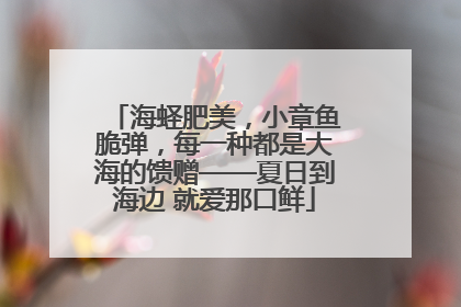 海蛏肥美，小章鱼脆弹，每一种都是大海的馈赠——夏日到海边 就爱那口鲜