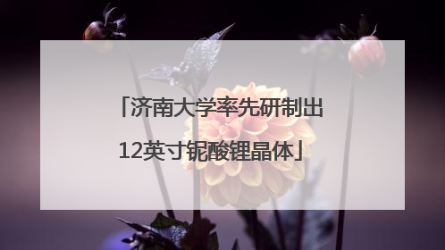 济南大学率先研制出12英寸铌酸锂晶体