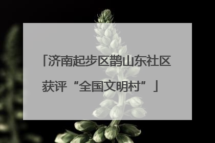 济南起步区鹊山东社区获评“全国文明村”