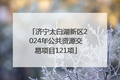 济宁太白湖新区2024年公共资源交易项目121项