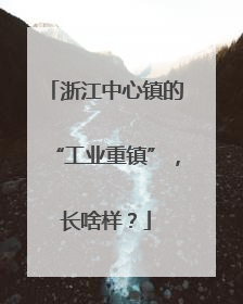 浙江中心镇的“工业重镇”，长啥样？