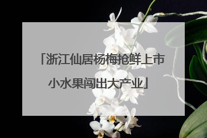 浙江仙居杨梅抢鲜上市 小水果闯出大产业