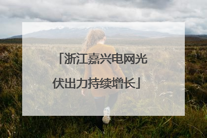 浙江嘉兴电网光伏出力持续增长