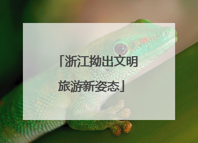 浙江拗出文明旅游新姿态
