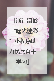浙江温岭“曙光迷彩”小程序助力民兵自主学习