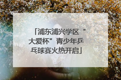 浦东浦兴学区“大爱杯”青少年乒乓球赛火热开启