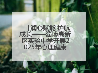 润心赋能 护航成长——淄博高新区实验中学开展2025年心理健康教育月系列活动