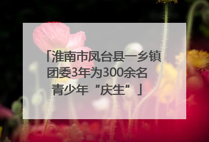 淮南市凤台县一乡镇团委3年为300余名青少年“庆生”