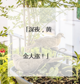 深夜，黄金大涨！