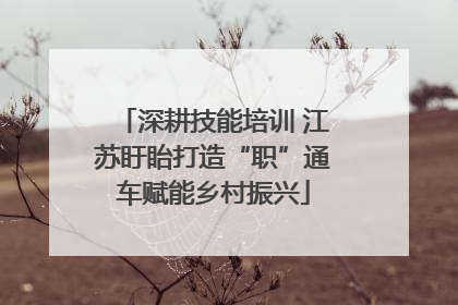 深耕技能培训 江苏盱眙打造“职”通车赋能乡村振兴