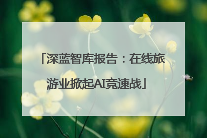 深蓝智库报告：在线旅游业掀起AI竞速战
