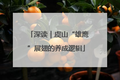 深读｜虞山“雄鹰”展翅的养成逻辑