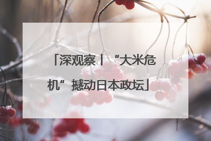 深观察丨“大米危机”撼动日本政坛