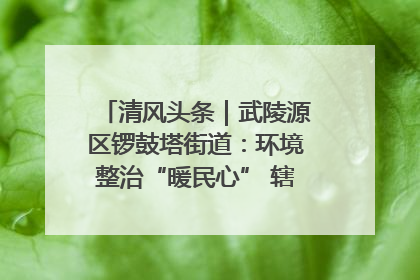 清风头条｜武陵源区锣鼓塔街道：环境整治“暖民心” 辖区面貌“靓”起来