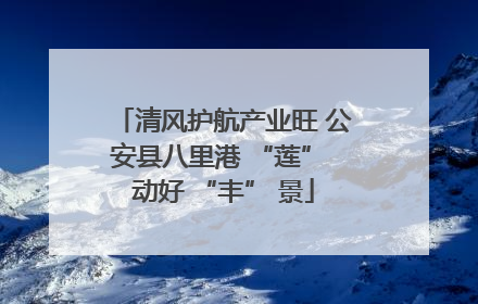清风护航产业旺 公安县八里港 “莲” 动好 “丰” 景