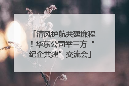 清风护航共建廉程！华东公司举三方“纪企共建”交流会