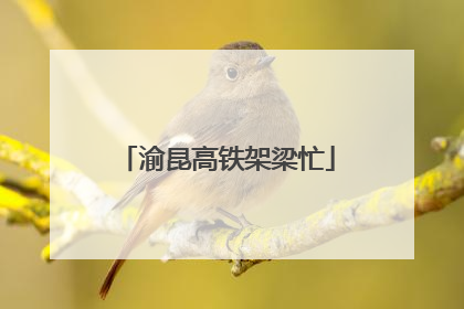 渝昆高铁架梁忙