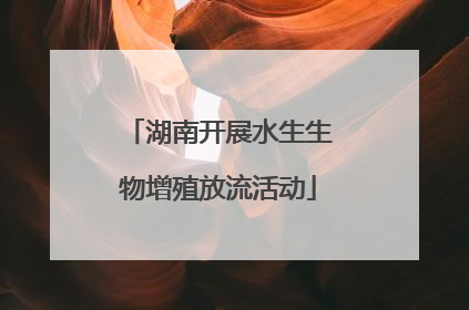 湖南开展水生生物增殖放流活动