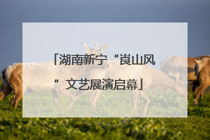 湖南新宁“崀山风”文艺展演启幕