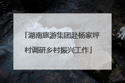 湖南旅游集团赴杨家坪村调研乡村振兴工作