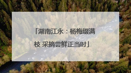 湖南江永：杨梅缀满枝 采摘尝鲜正当时