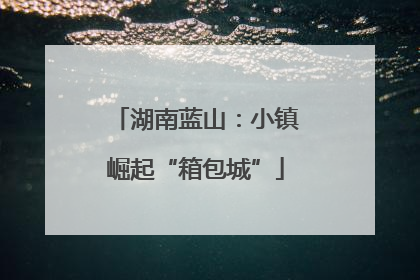 湖南蓝山：小镇崛起“箱包城”