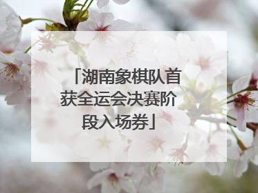 湖南象棋队首获全运会决赛阶段入场券